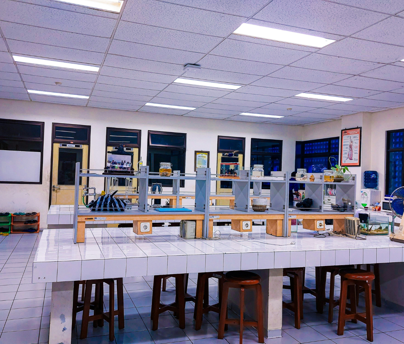 VQ Museum Studio - Science Exhibition